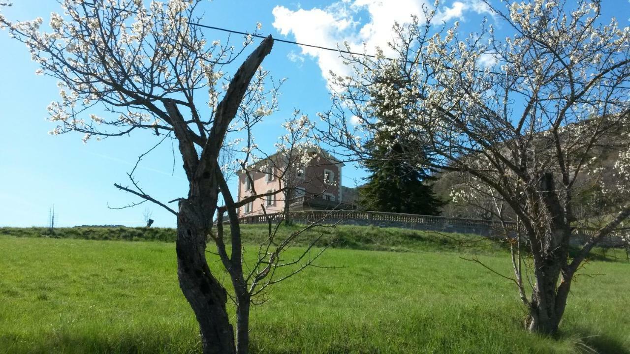 La Villa Du Collet La Penne Buitenkant foto
